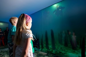 Steiner Sarnen konzipiert Einführungsshow für das Pfahlbaumuseum