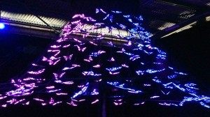 L’Oracle du papillon mit Ars Electronica Solutions