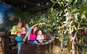 Swiss Chocolate Adventure mit Atelier Brückner