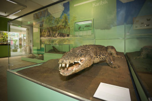 Eröffnung der „NaturWelten“ im Landesmuseum Hannover