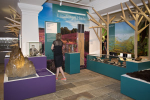 Eröffnung der „NaturWelten“ im Landesmuseum Hannover