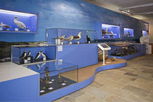 Eröffnung der „NaturWelten“ im Landesmuseum Hannover