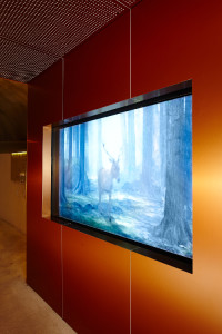 Arnold Brandschutzglas für Medienboxen der Burg Altena