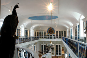 Zeitgemäße Wissensvermittlung im Bamberger Vogelsaal