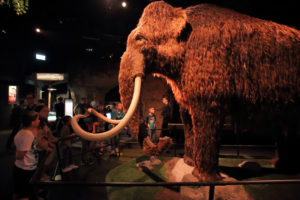 „Ice Age: Dem Mammut auf der Spur – Die Ausstellung“ im Odysseum Köln